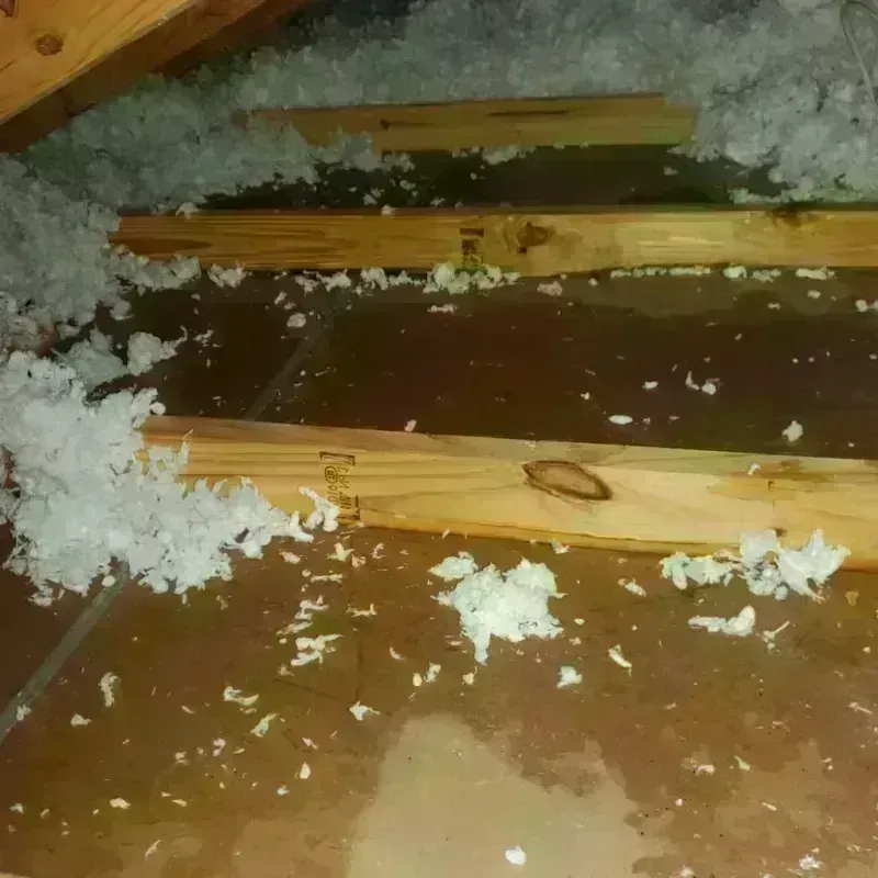 Attic Water Damage in Dover, AR