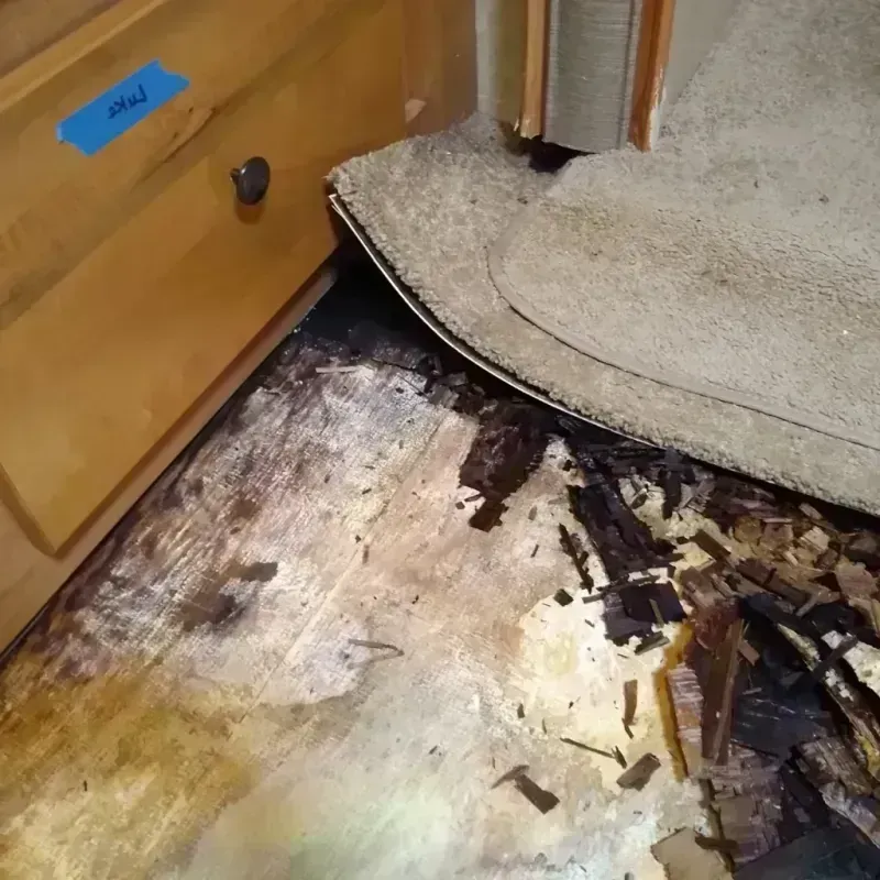 Best Wood Floor Water Damage Service in Dover, AR